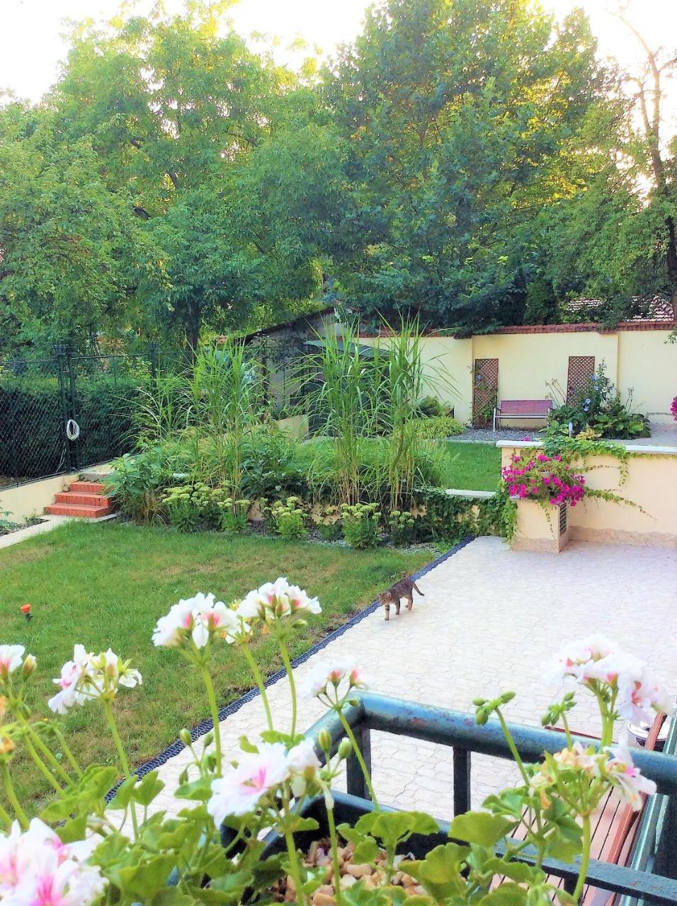 Apartament Amaryllis Krakau Exterior foto